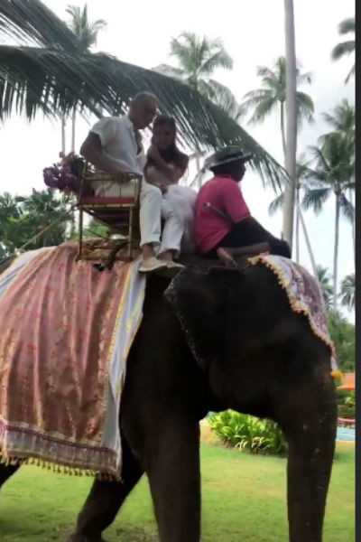 Супруги передвигались верхом на слоне