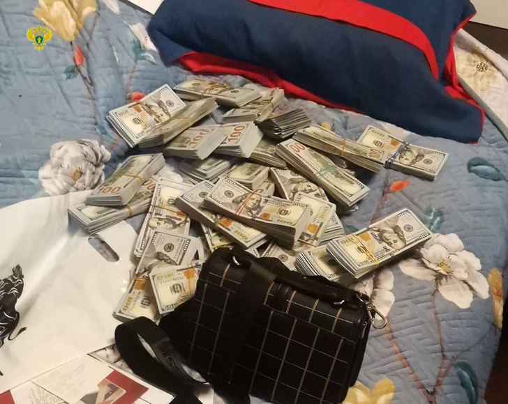 Нашли 44 миллиона рублей и 300 тысяч долларов: в квартире убийцы байкера Кирилла Ковалева прошел обыск