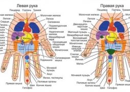 Почему массаж рук – не только приятно, но и полезно? Разбираемся в акупрессуре. связанных…