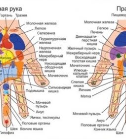 Почему массаж рук – не только приятно, но и полезно? Разбираемся в акупрессуре. связанных…