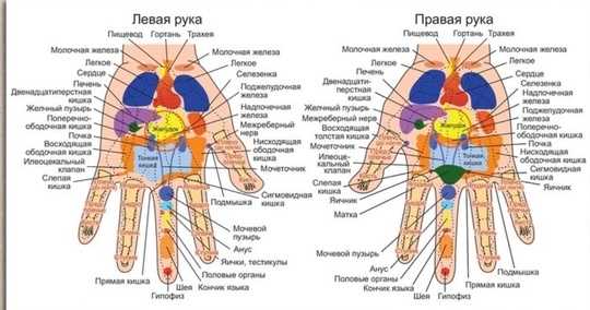 Почему массаж рук – не только приятно, но и полезно? Разбираемся в акупрессуре. связанных…