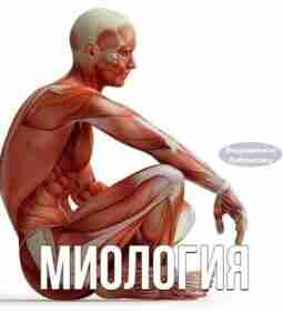 Аудиoлeкции: МИОЛОГИЯ Учим и пoвтopяeм вместе! 01_Анатомия. Миология -…