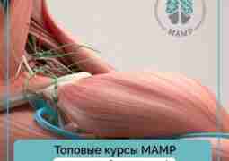 Бесплатный демо-доступ к программам обучения для реабилитологов от экспертов мирового…