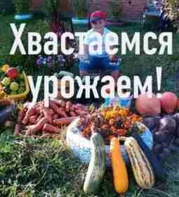 🍓🌽🍏🍎🥦🍐🍅🍒🍇🥬🍉🍋🥑🥭🥕🍆🥔 Дорогие подписчики, давайте сегодня похвастаемся своим урожаем в комментариях! Наверняка у…