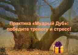 Спасибо. Вот Ваша Практика Мы благодарим вас, что вы остаетесь нашим подписчиком. От всей…