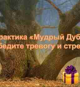 Спасибо. Вот Ваша Практика Мы благодарим вас, что вы остаетесь нашим подписчиком. От всей…