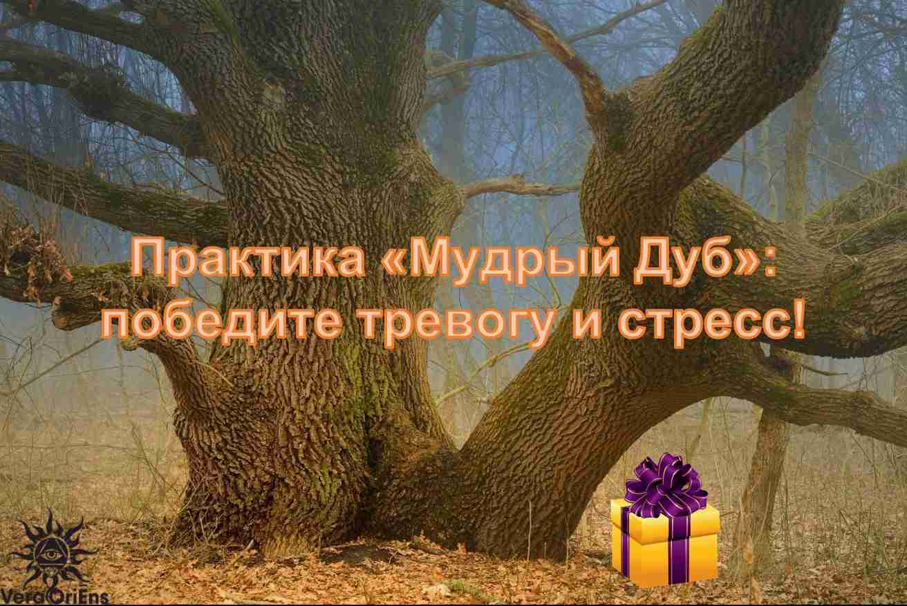 Спасибо. Вот Ваша Практика Мы благодарим вас, что вы остаетесь нашим подписчиком. От всей…