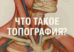 📍 Что такое топография? И почему без неё ты…