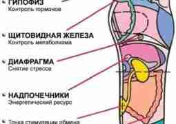 Самомассаж стоп • Делайте круговые движения большими пальцами от пятки до пальцев. • Давите…
