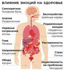 Эмоции не просто существуют в нашем сознании; они запускают каскад биохимических и физиологических реакций…