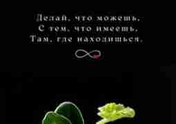 15 цитат, меняющих жизнь Закрепите себе на стенку и просматривайте каждое утро, когда необходимы…