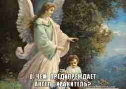 О чем предупреждает Ангел-хранитель У каждого человека есть свой ангел-хранитель. И он обязательно пошлет…