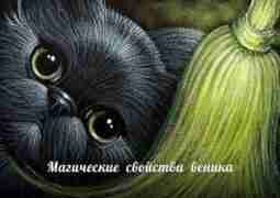 Магические свойства веника. С давних времен существует масса примет насчет веников, чтобы сохранить удачу…
