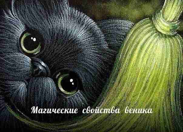 Магические свойства веника. С давних времен существует масса примет насчет веников, чтобы сохранить удачу…