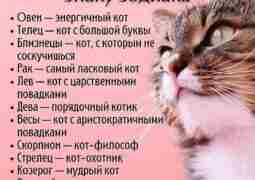 #эзотерика #магия #таро #психология #таролог #любовь #саморазвитие #гадание #астрология #тароонлайн