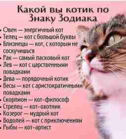 #эзотерика #магия #таро #психология #таролог #любовь #саморазвитие #гадание #астрология #тароонлайн