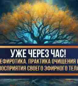 🎊 Уже через час! 🎊 Начинаем вебинар “Сефиротика: как развить способности…