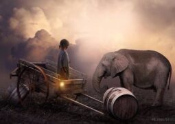 То как ты поступаешь по отношению к другим людям, вернется к тебе рано или…