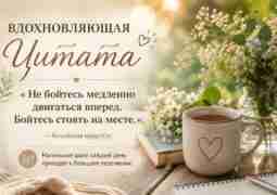 «Не бойтесь медленно двигаться вперед. Бойтесь стоять на месте.» — Китайская мудрость 🩵#эзотерика #магия…